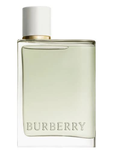 my burberry edt 3.0|Burberry her eau toilette 2022.